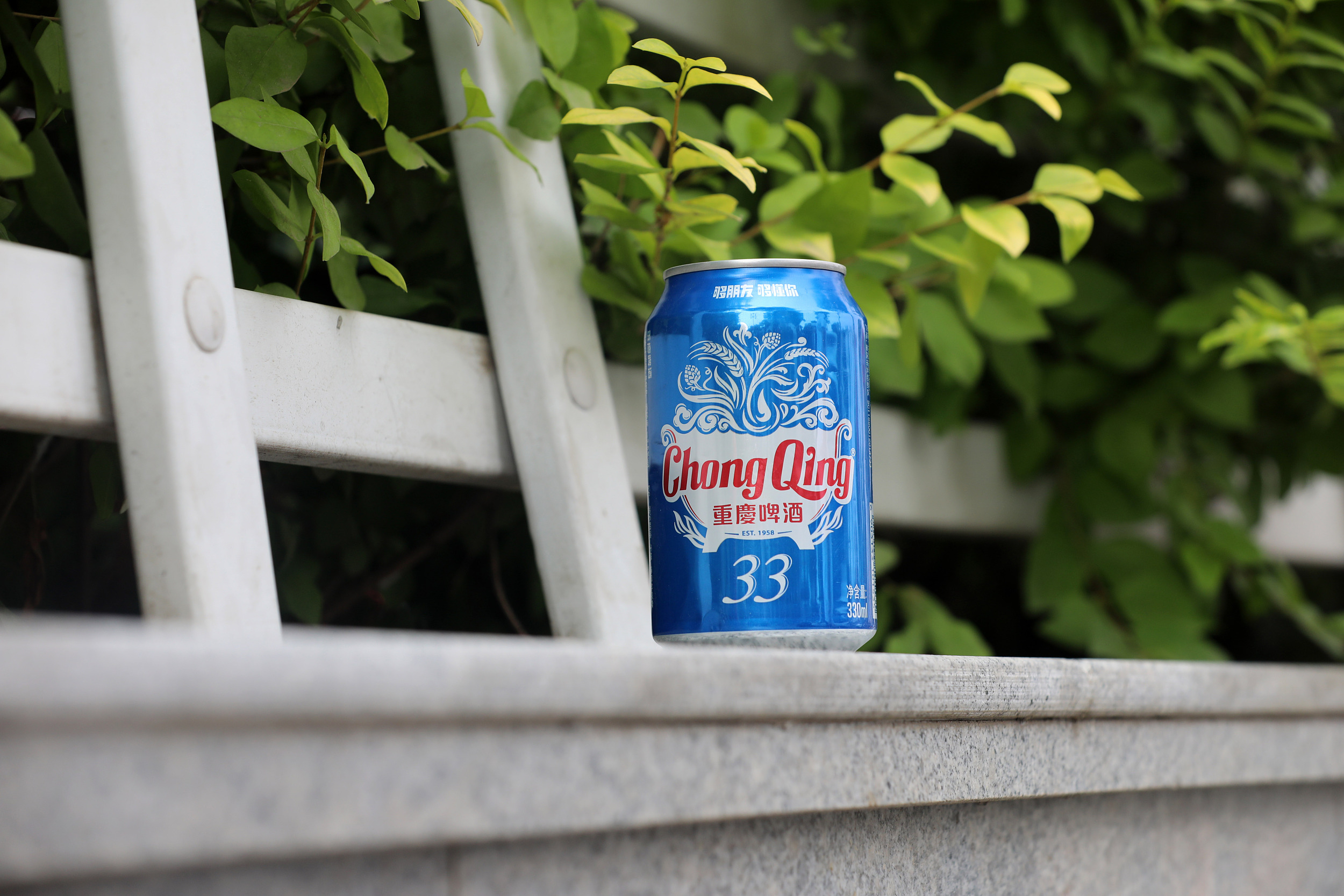 重庆啤酒增收不增利,中报公布后连续两天跌停,市值蒸发158亿