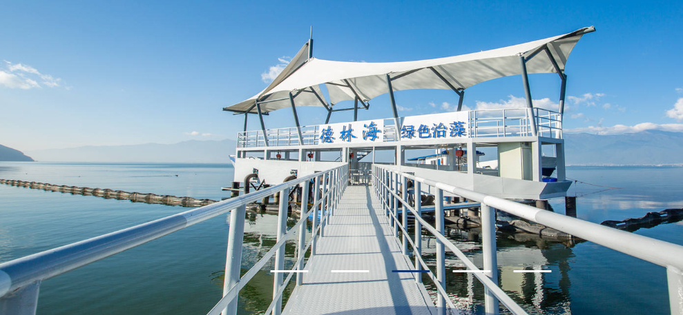 点击看大图 上市即巅峰?德林海股价一路走低至破发超7成业绩依赖政府、国企