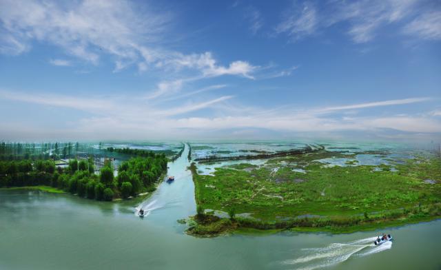 洋河股份向着“二次创业”新赛道进发