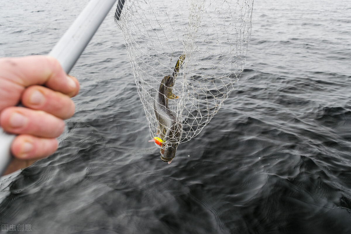 屡战屡败的三五互联:净利连续三年亏损“巨星”欲接盘