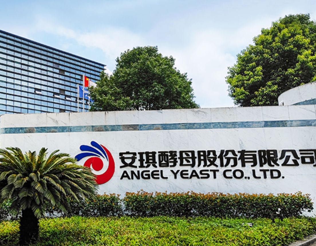 点击看大图 “宅经济”红利失灵叠加产品纠纷安琪酵母多元化转型路漫漫