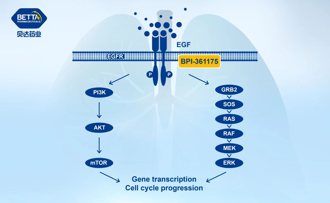 微信图片_20211207094325.jpg 微信图片_20211207094325.jpg