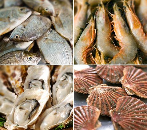 截图自獐子岛官网。 截图自獐子岛官网。