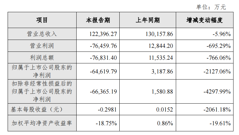海印股份:2021年归母净利润亏损6.46亿元