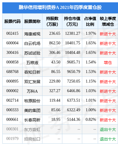 ֪д60µͣծȯA2021걨زָù