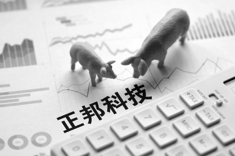 林印孙父子激进致年亏188亿负债率达97%正邦科技400亿入局新能源靠“收租”难自救