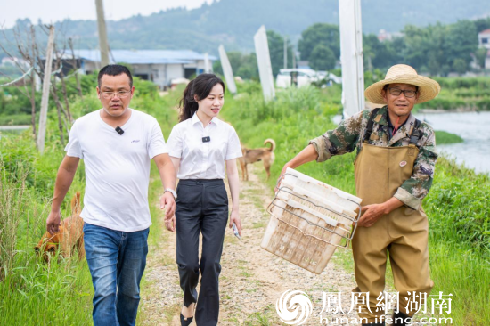 长沙银行龙虾节韵味开场打通养殖基地餐饮商户消费链