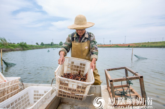 长沙银行龙虾节韵味开场打通养殖基地餐饮商户消费链