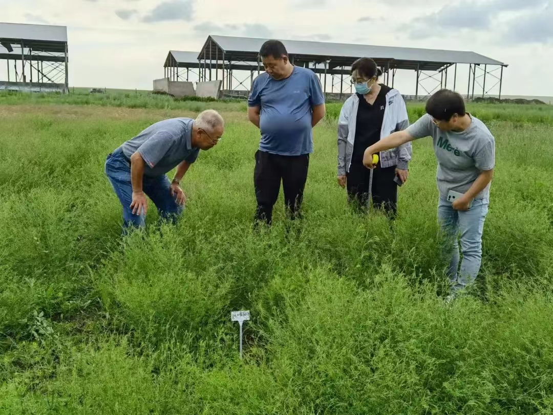 b1ae2b20-2461-4ba1-90cf-08cd0493b886.jpg b1ae2b20-2461-4ba1-90cf-08cd0493b886.jpg