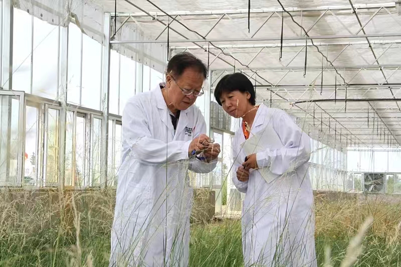 fa9342e6-36a4-4ad9-99ef-4e40e4a6c323.jpg fa9342e6-36a4-4ad9-99ef-4e40e4a6c323.jpg