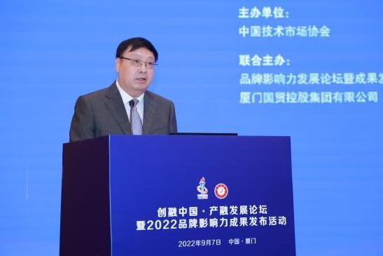 中国企业联合会原副理事长、中国技术市场协会产业融合发展工委员会主任于武