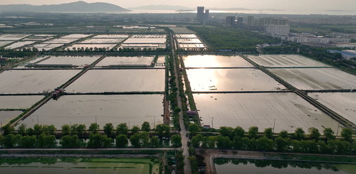 海康威视联合捷安科技,在太湖守护“数字大闸蟹”的生长