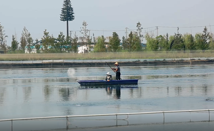 海康威视联合捷安科技,在太湖守护“数字大闸蟹”的生长