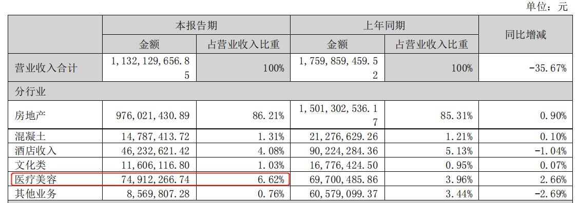 2022年上半年苏宁环球营收项目,图片来源:公司财报