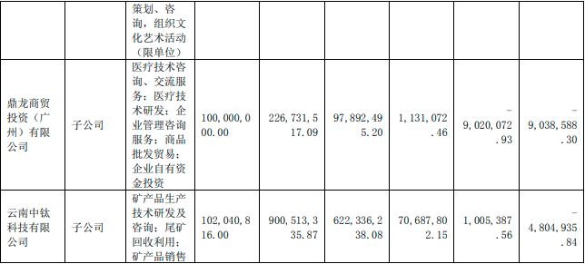 点击看大图 鼎龙文化股权激励给净利润“拖后腿”,定增筹划超一年还未出预案