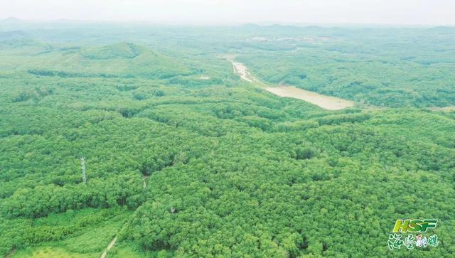 海南橡胶自主研发的这一土地系统,用过都说好