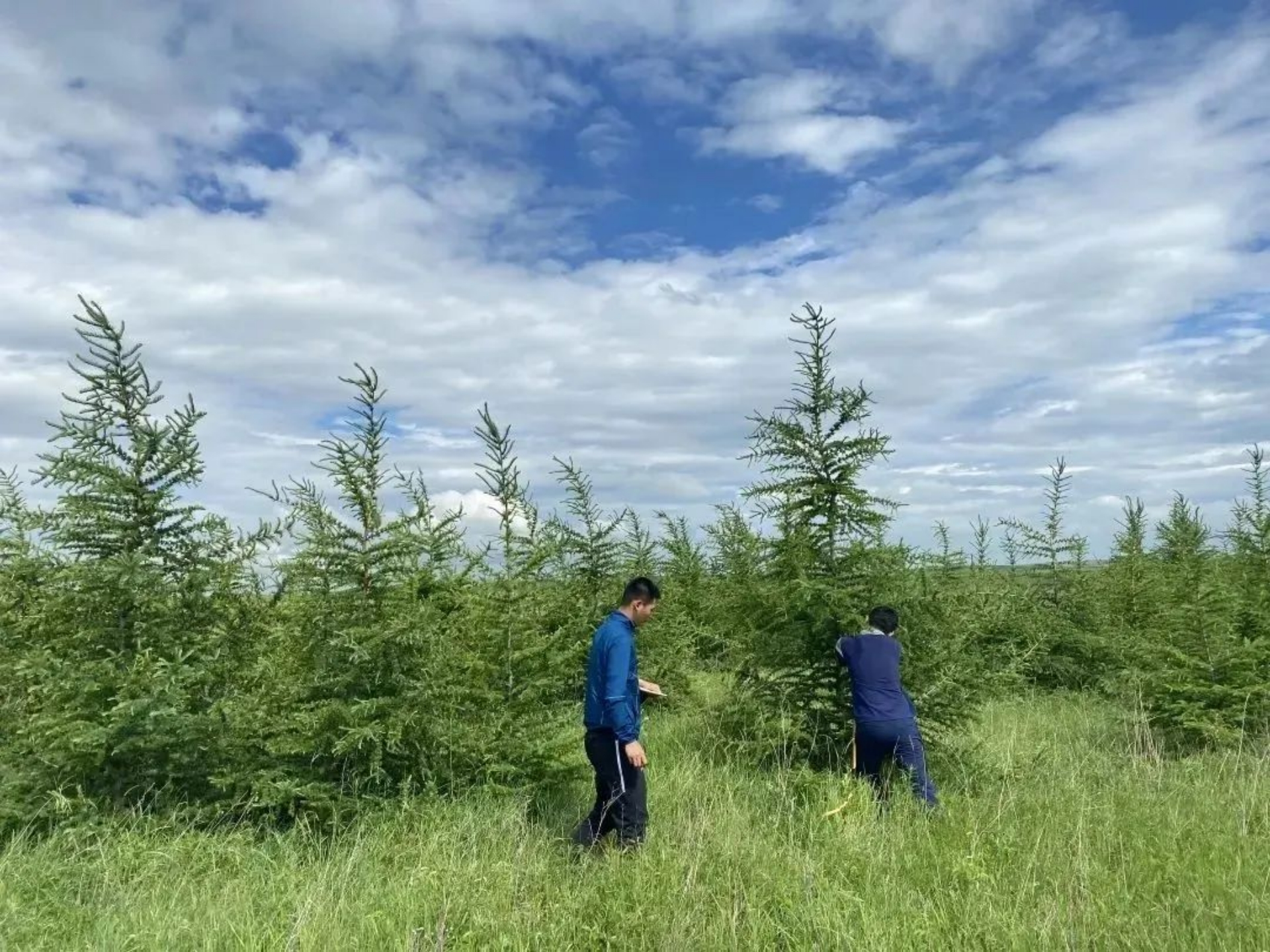 dde5e59b4edb898e24f1a4f3aff013ac.png dde5e59b4edb898e24f1a4f3aff013ac.png