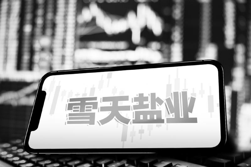 金安国纪7555万购豪宅连收监管函被指利益侵占两大业务齐降前三季扣非仅32万创12年新低