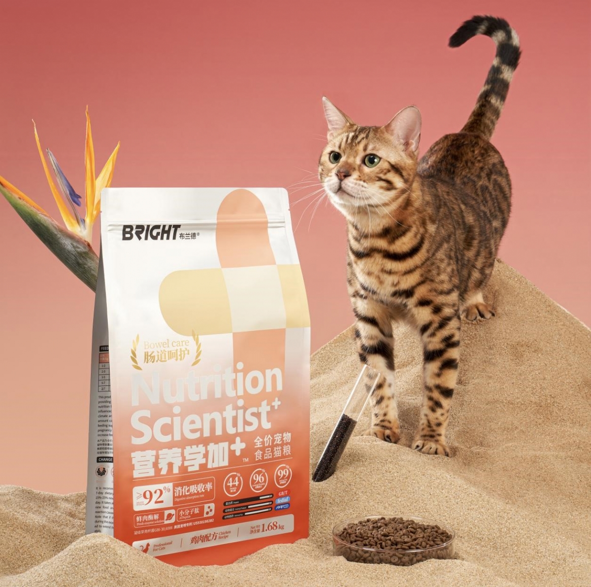 高端宠物品牌「布兰德」完成新一轮融资,若羽臣投资