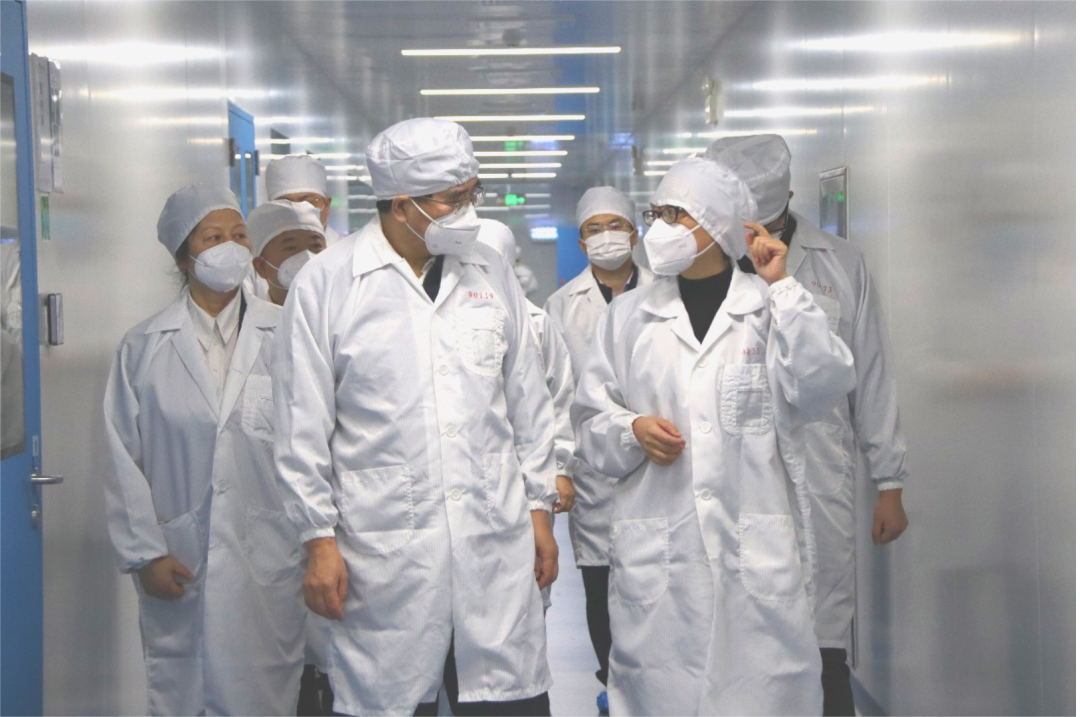 智飞2.png 智飞2.png