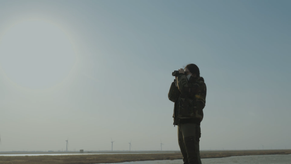 ʪգЯһȻᣬϺػҪվ