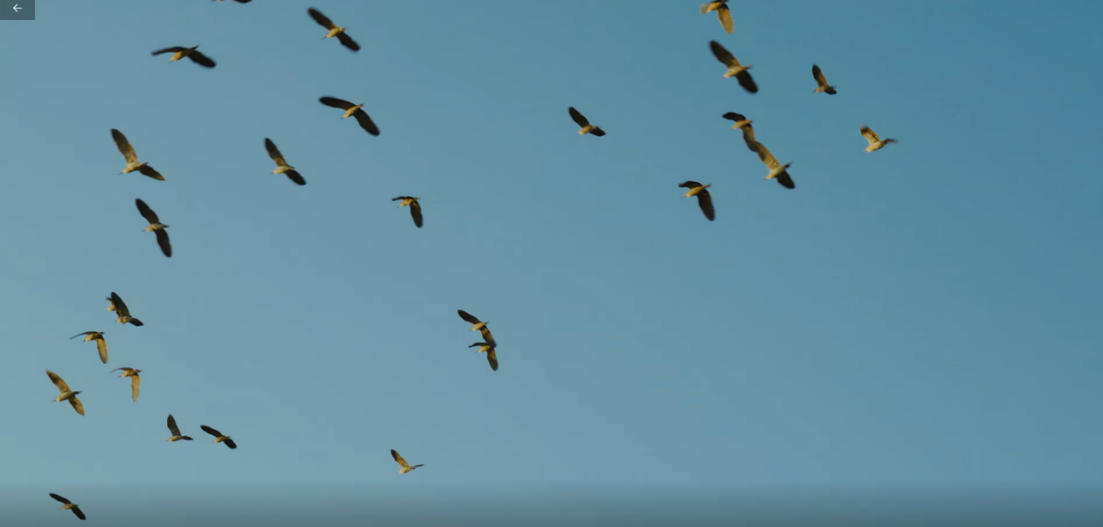 ʪգЯһȻᣬϺػҪվ