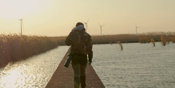 ʪգЯһȻᣬϺػҪվ