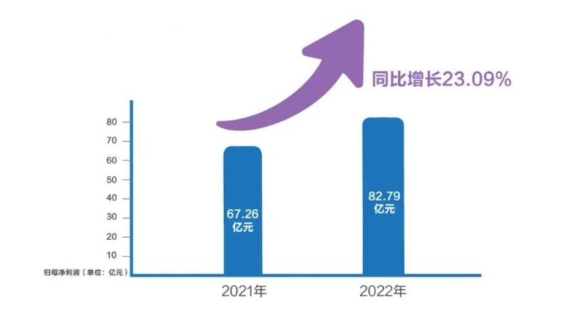 2022ӯͼƬԴ