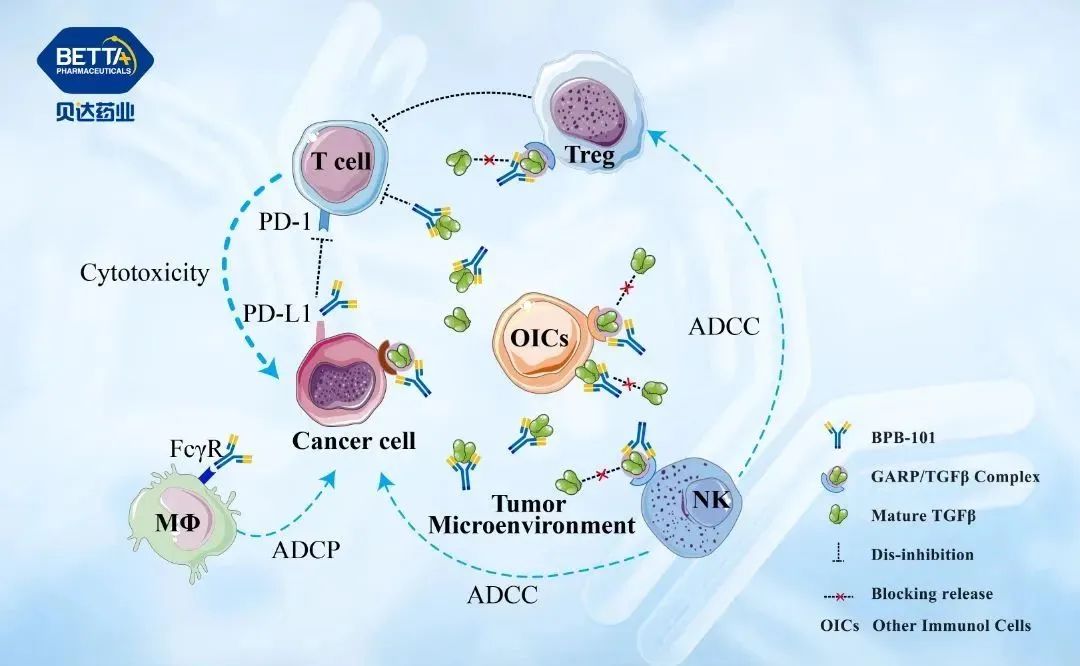 微信图片_20230313092939.jpg 微信图片_20230313092939.jpg
