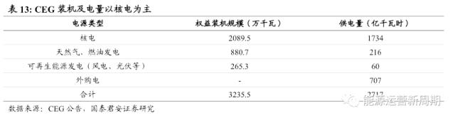 中国核电深度:百年之业,以核为贵【国君能源运营】