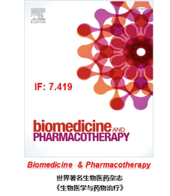 1682310408919844.png 图片1.png