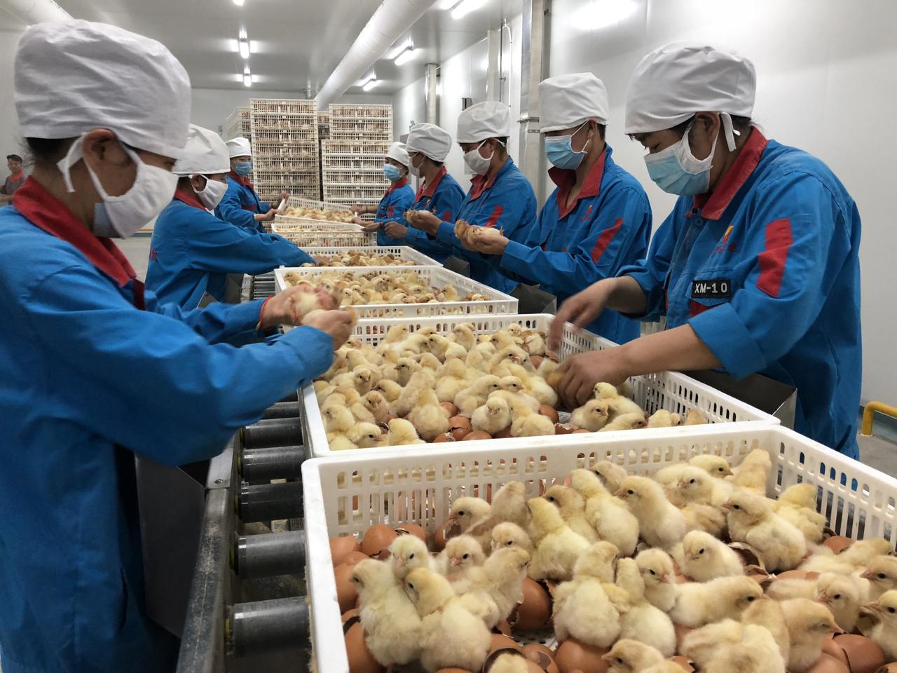 GetAttachment (1).jpg