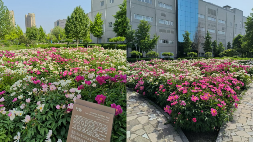 1683337553322902.png 3.png