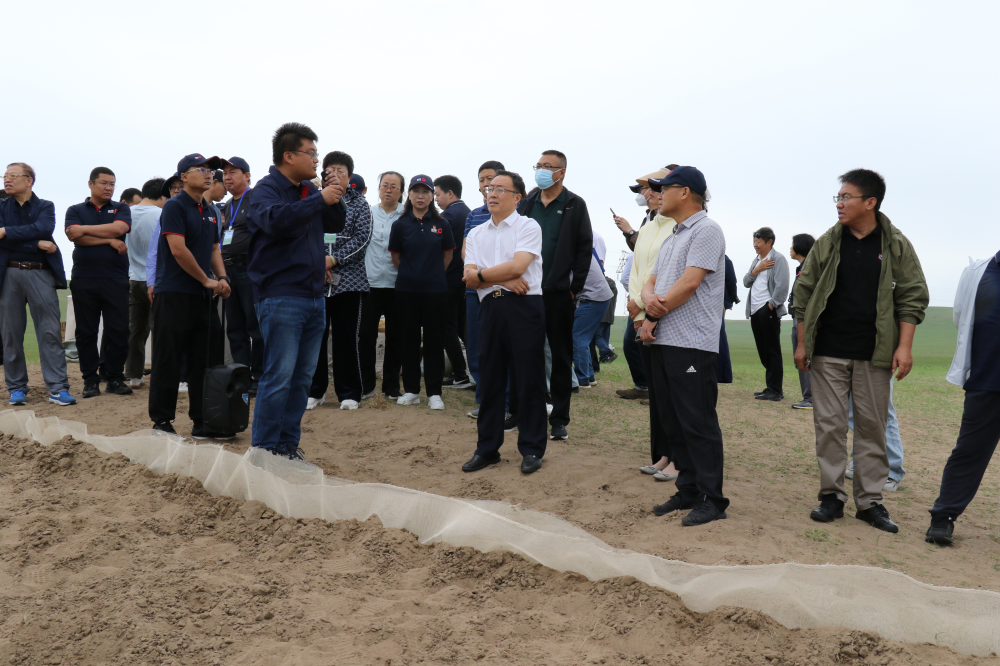 小草1_副本.png 小草1_副本.png