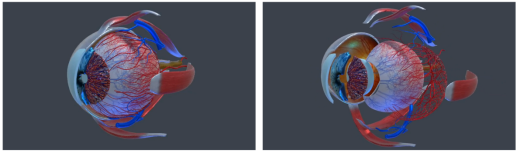 迪视医疗完成数千万元Pre-A+轮融资,英飞尼迪及欧普康视合作基金领投