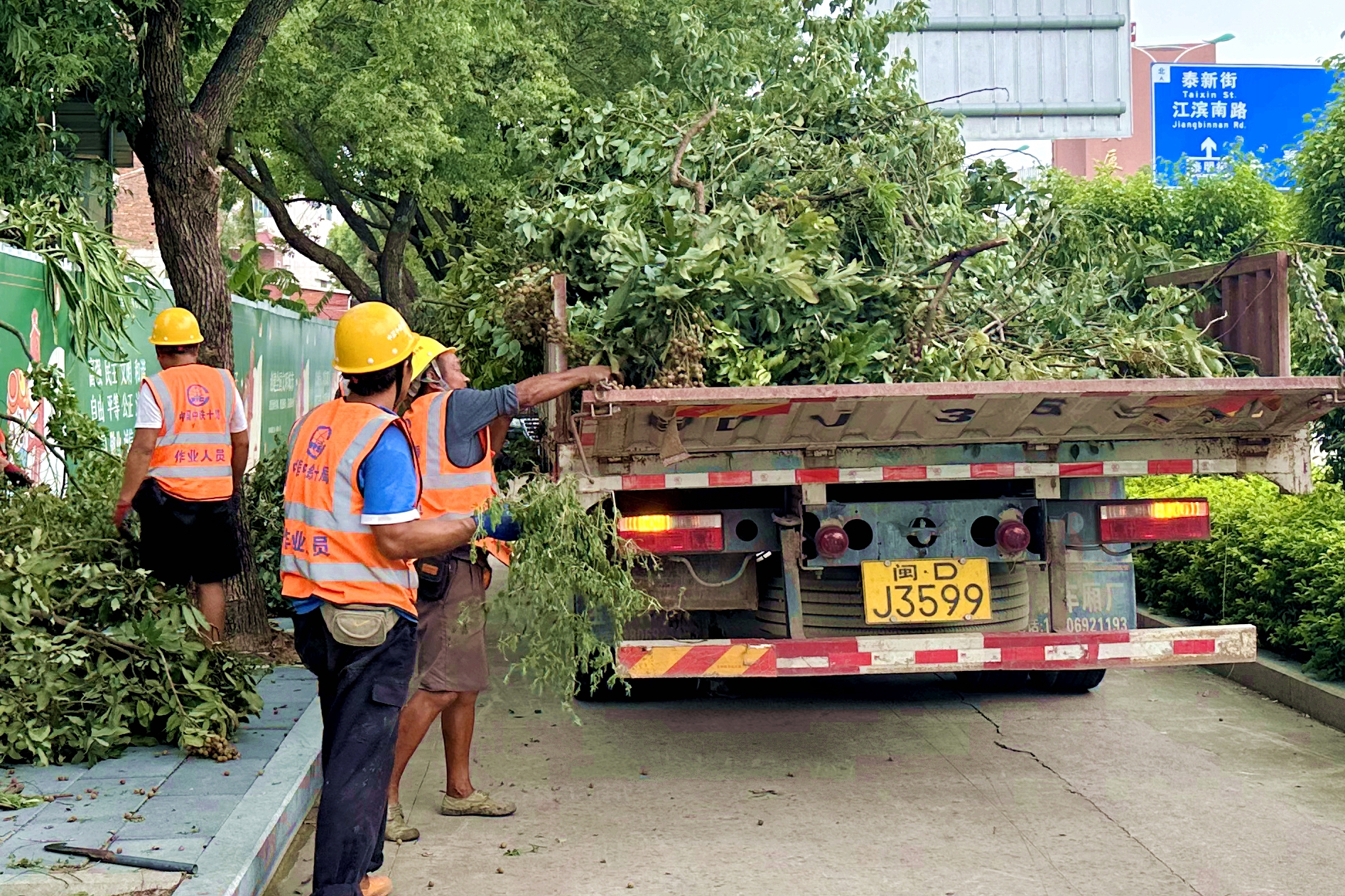 6.中铁十局城轨公司清除路面树木.jpg 6.中铁十局城轨公司清除路面树木.jpg