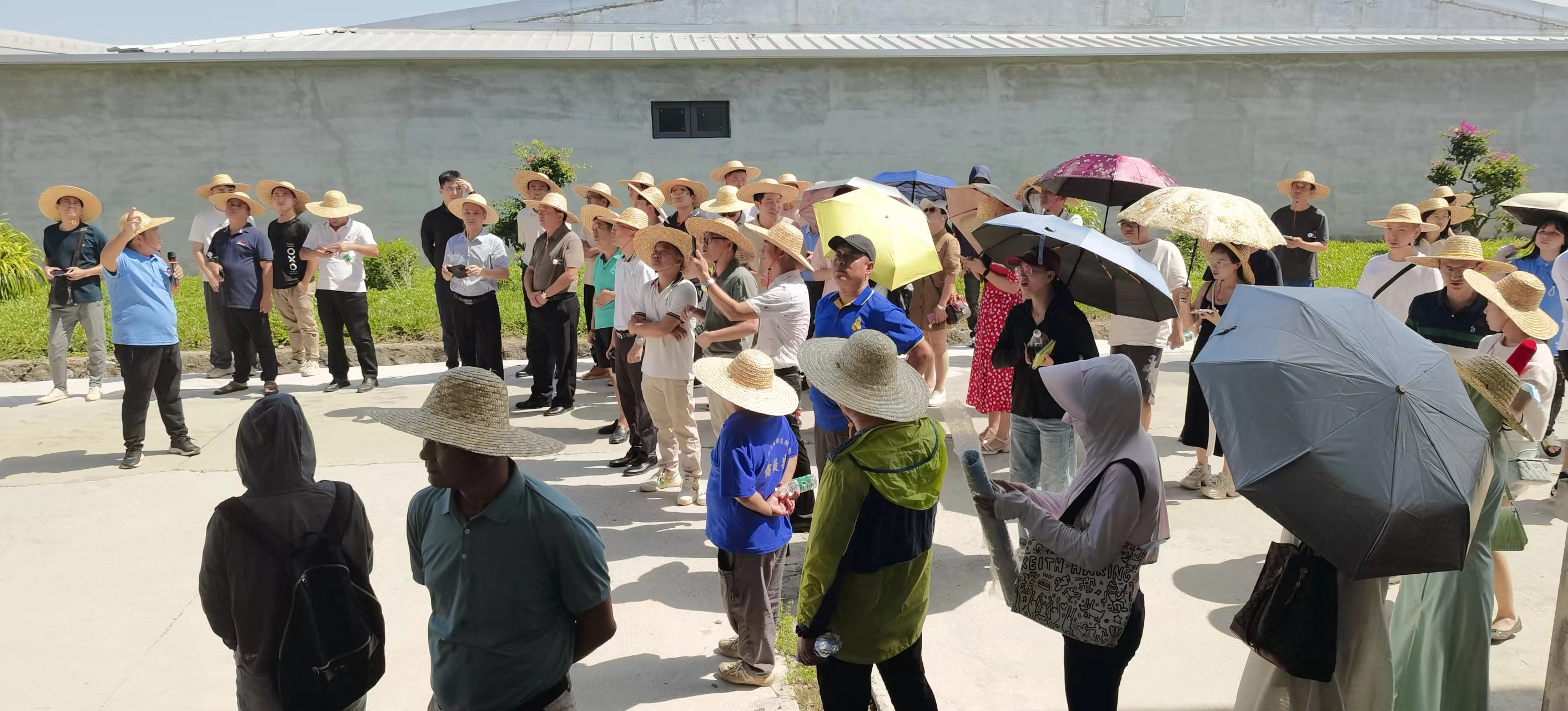 3861743214图片1.png 214图片1.png