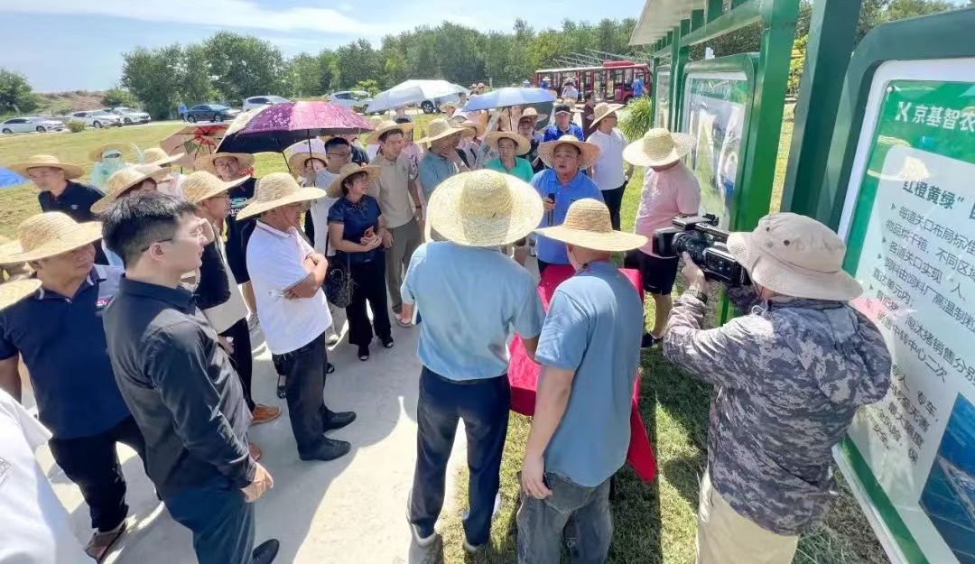 2705067213图片1.png 213图片1.png