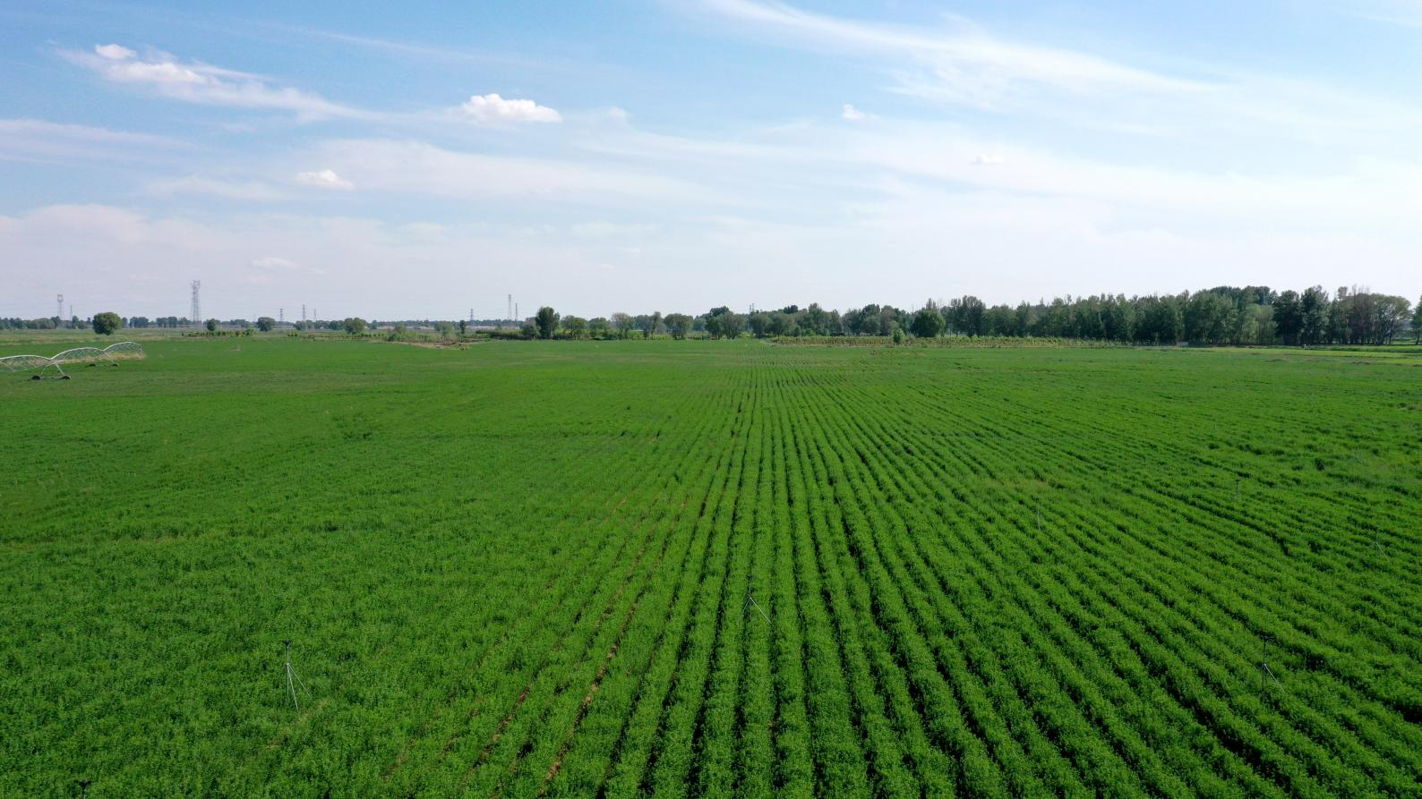 图片3.png 图片3.png