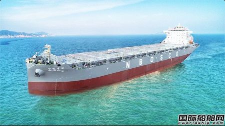 扬子江船业为宁波远洋建造首制3300TEU集装箱船命名交付