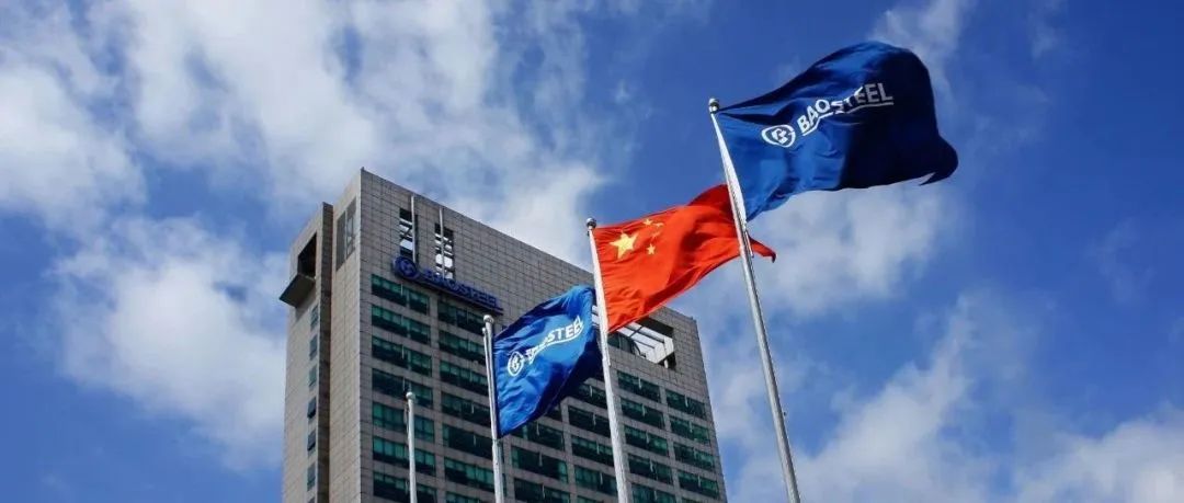 1699413499251731.jpg 10.jpg