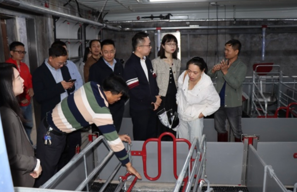 1700481492131922.png F526DB97-C814-4A93-8E09-AFA1DC8D765A.png