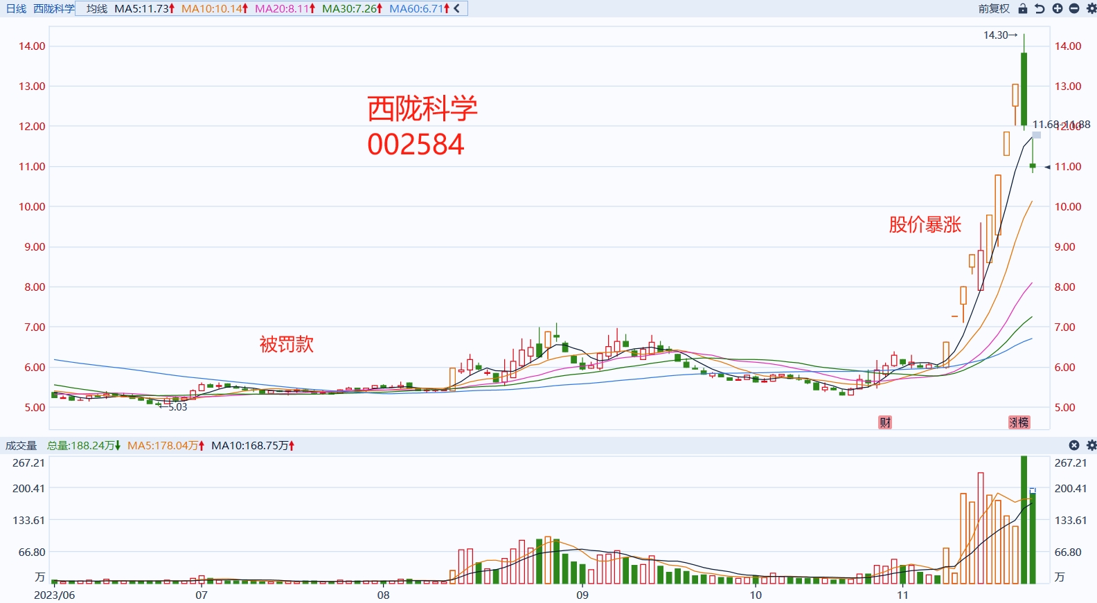 655ef55b48bf1.png 11.png