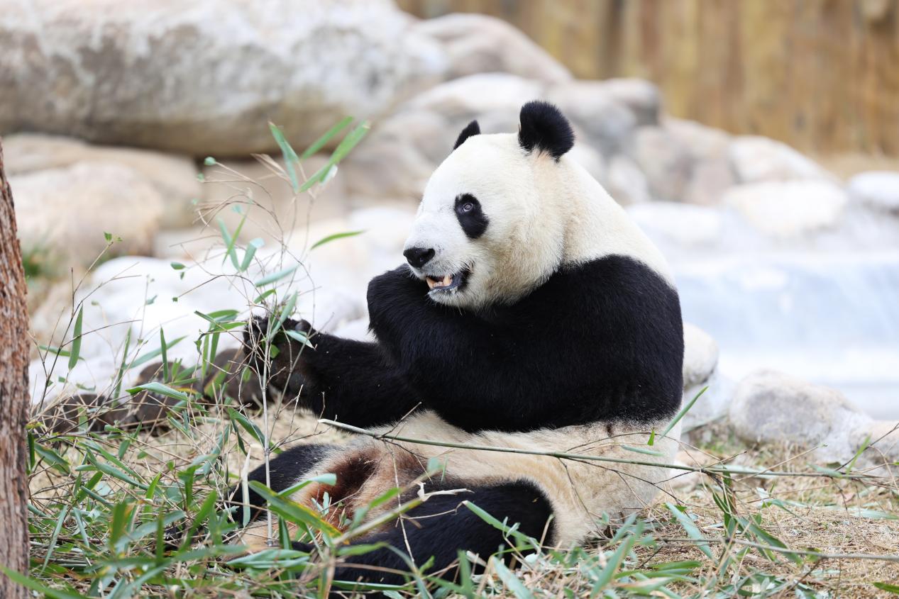 1702263231949558.jpeg IMG_7248.jpeg