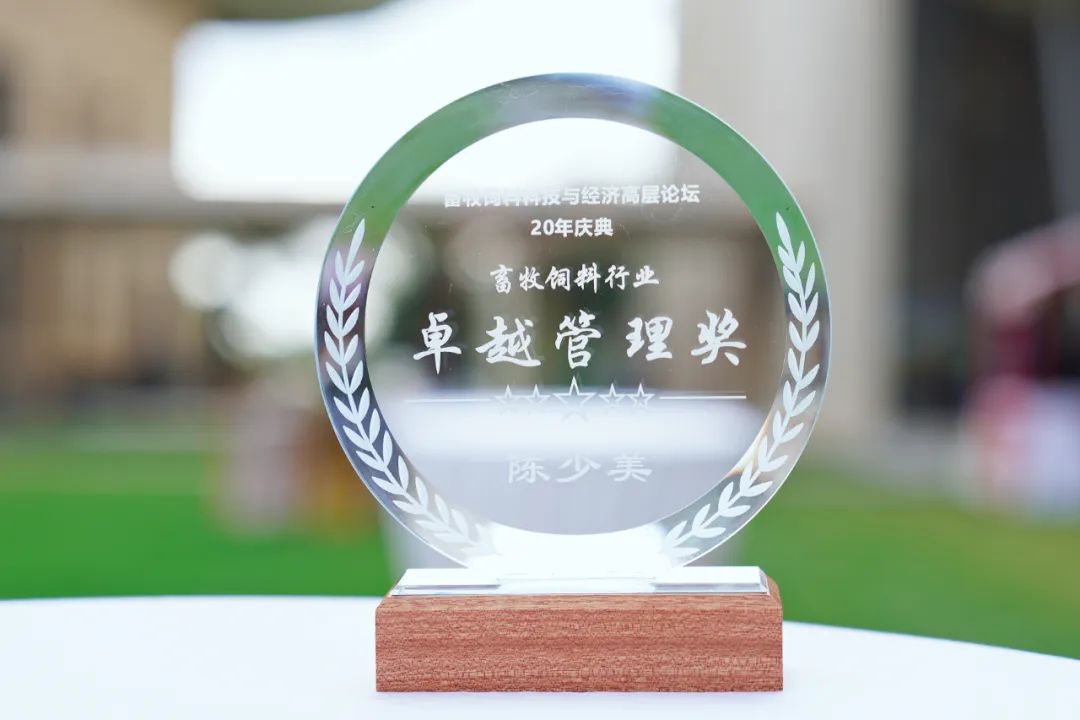 1702861815178422.jpg 02.jpg