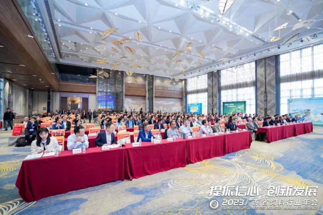 1702860978723943.jpg 01.jpg