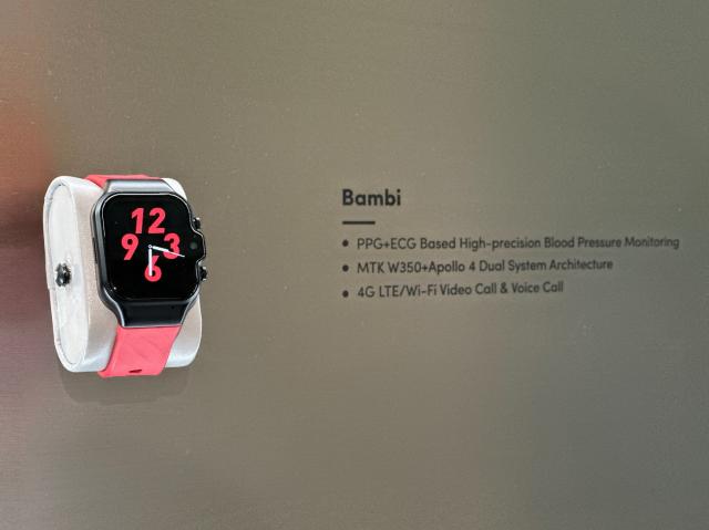 ����ɷ�ȫ�¼���������������CES+2024