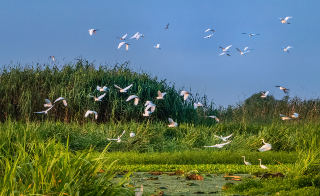 《华夏银行发布2023年度环境信息披露报告》新闻宣传稿