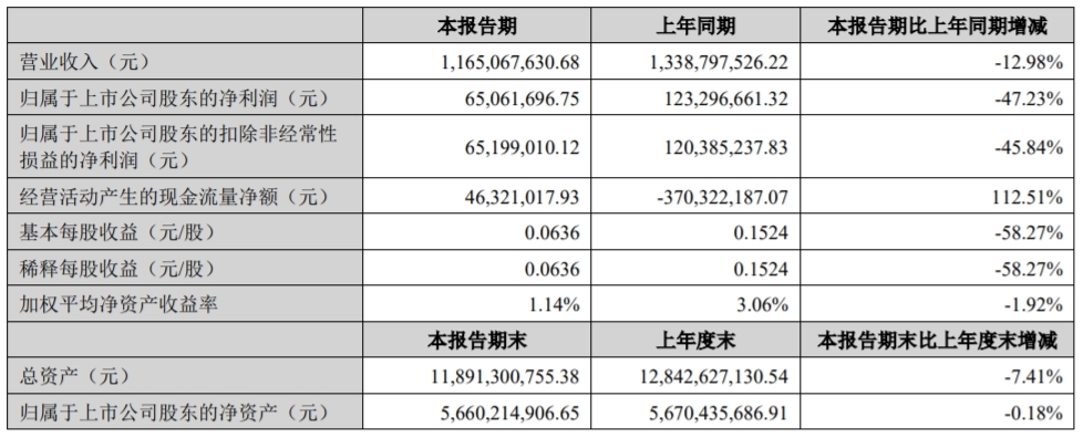 营收净利双降!青岛天能重工披露2024年半年报