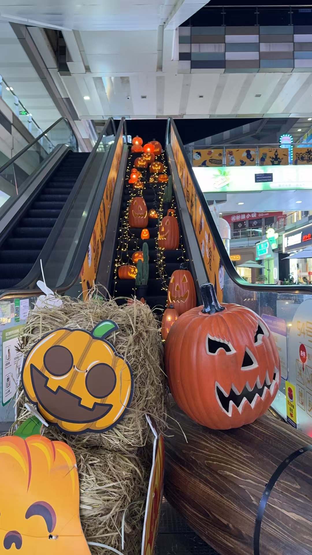 72091729679158_.pic 72091729679158_.pic